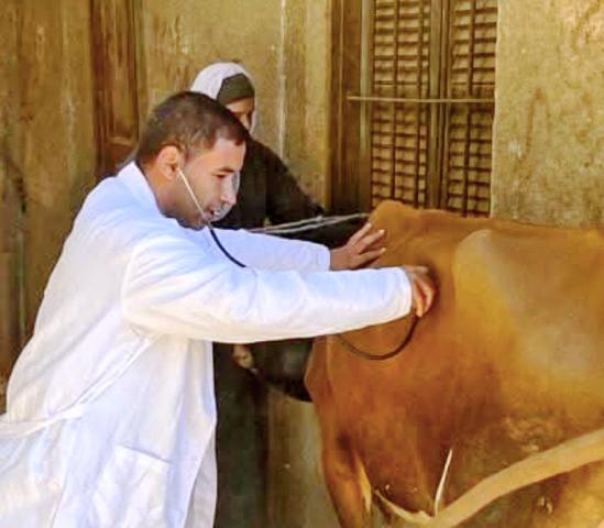 حملات بيطرية