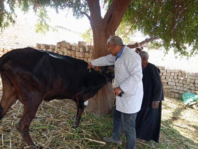 حملات بيطرية