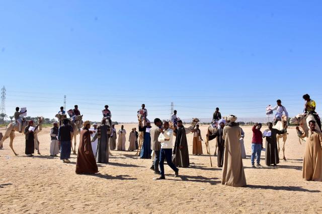 سباق الهجن
