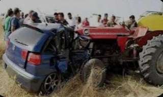 إصابة مسنة وحفيدتها في حادث...