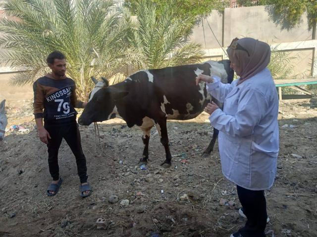 حملات بيطرية