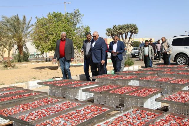محافظ الوادي الجديد يتابع عددًا من المشروعات