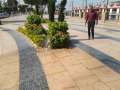 رئيس مدينة الأقصر يتفقد أعمال...