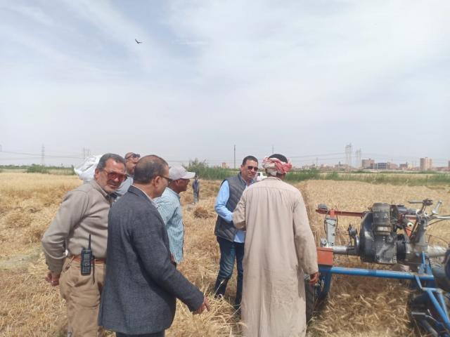 موسم حصاد القمح