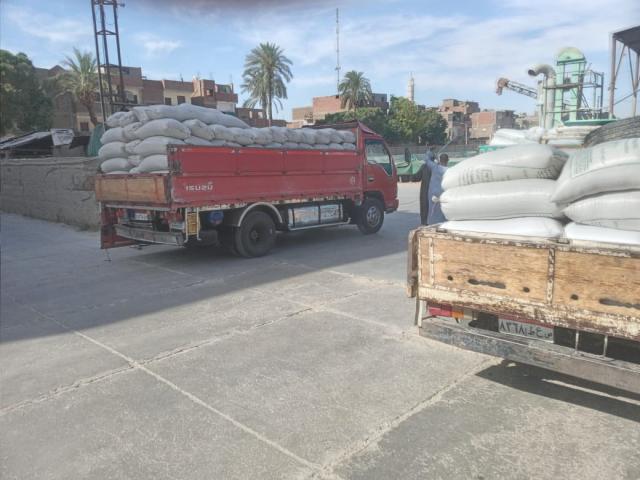 توريد القمح