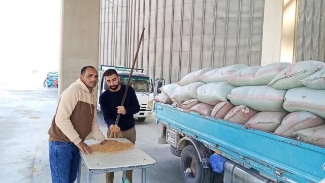 توريد القمح
