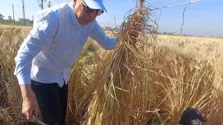 محافظ المنيا يشارك مزارعي قرية...