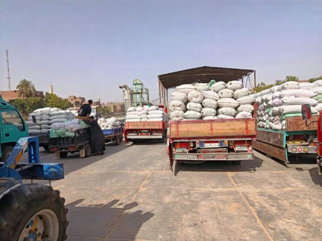 توريد القمح