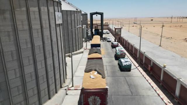 توريد القمح
