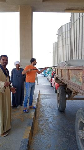 توريد القمح