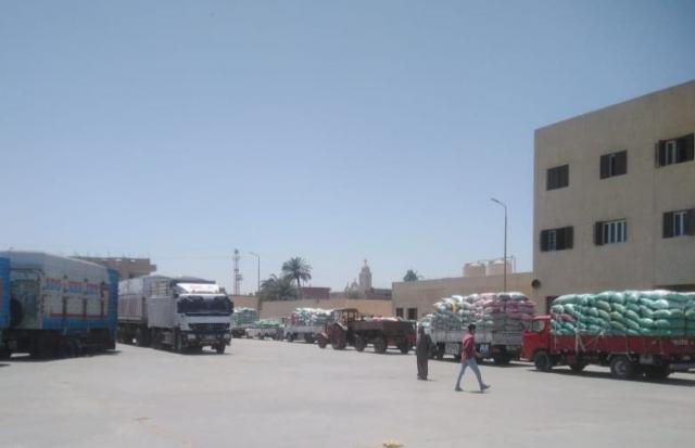 توريد القمح