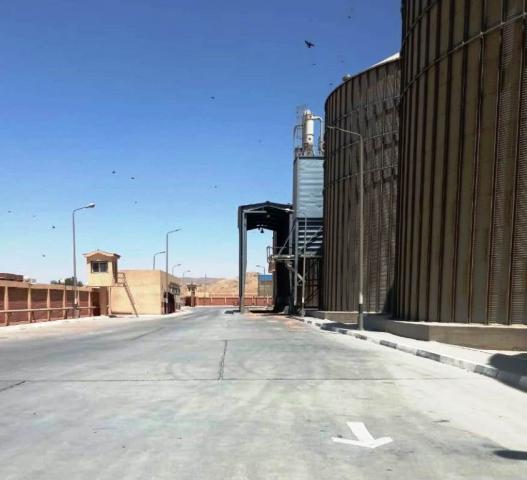توريد القمح