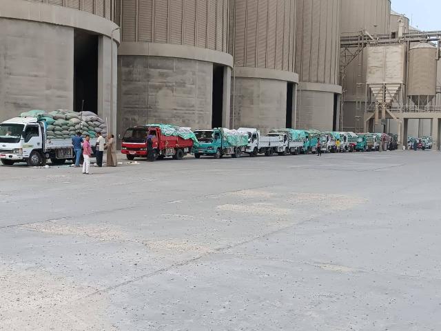 توريد القمح