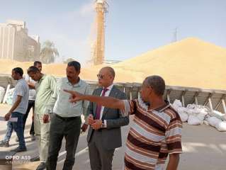 وكيل تموين قنا يتابع توريد...