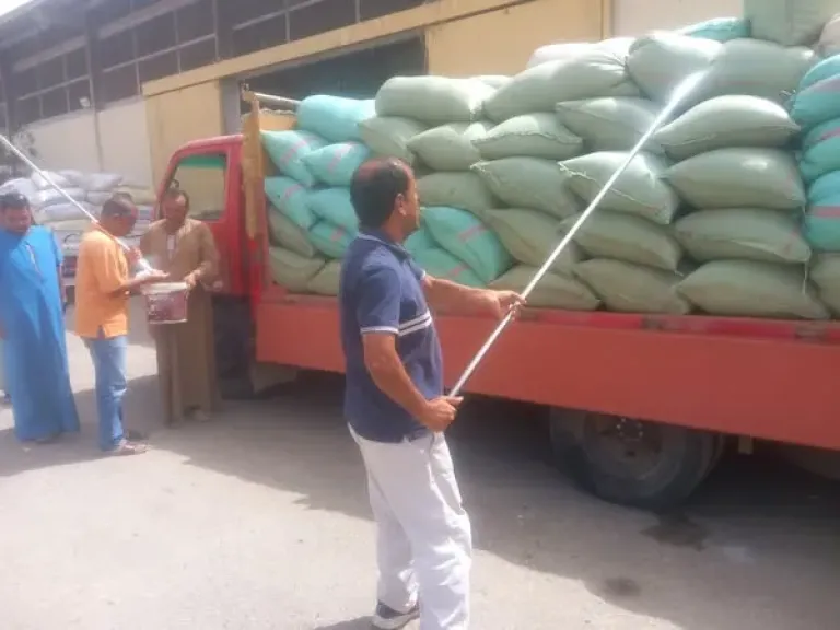توريد القمح