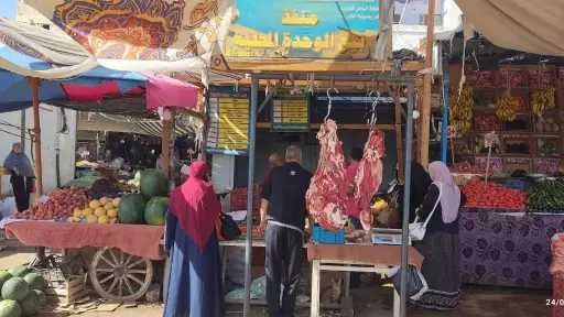 أخبار