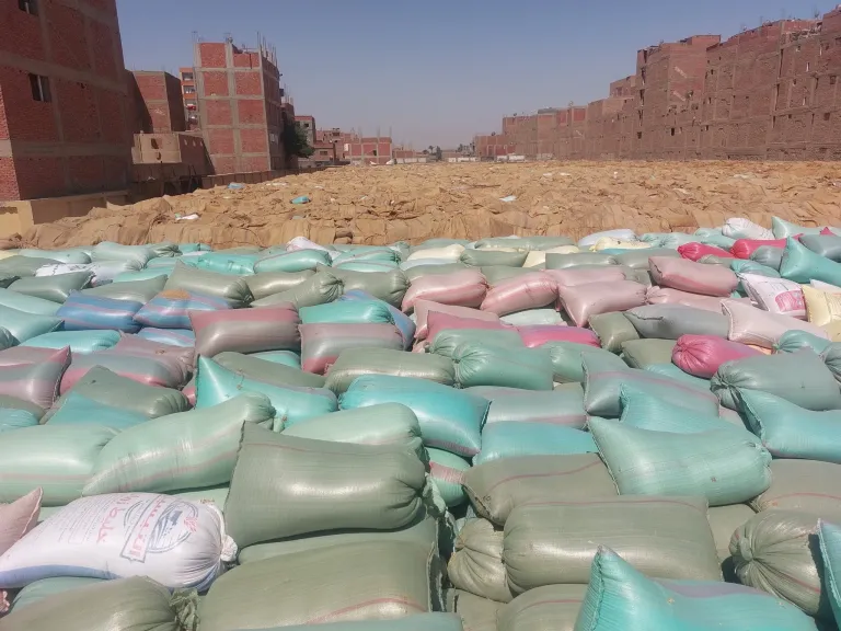 توريد القمح