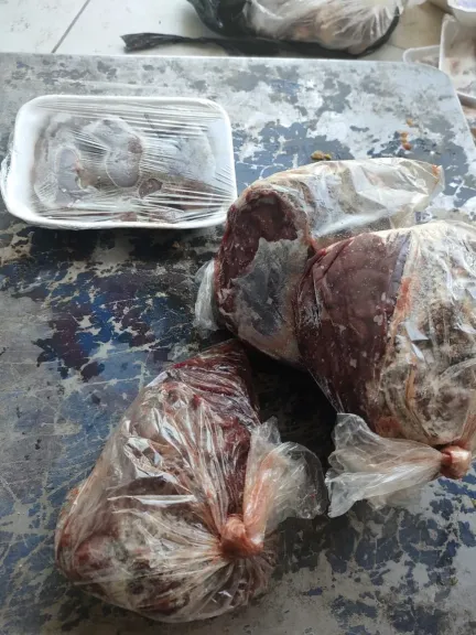 جانب من المضبوطات
