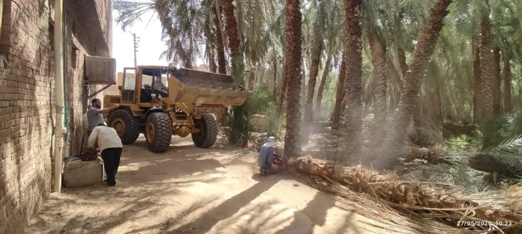 جانب من الحملة