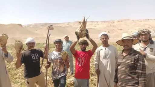 بإنتاجية تصل لـ 35 طن...