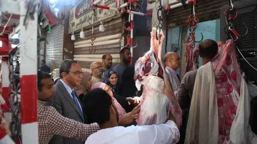 محافظ قنا يتابع جاهزية المخابز...