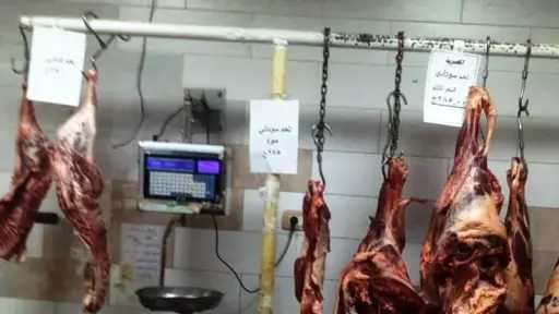 أخبار