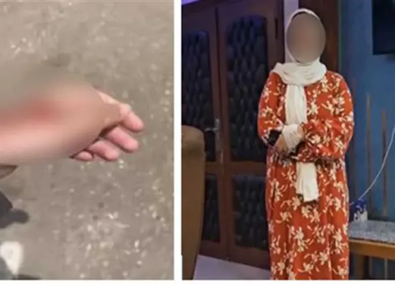ناشرة الفيديو