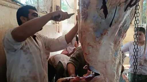 أخبار