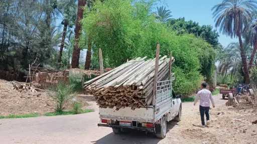 أخبار