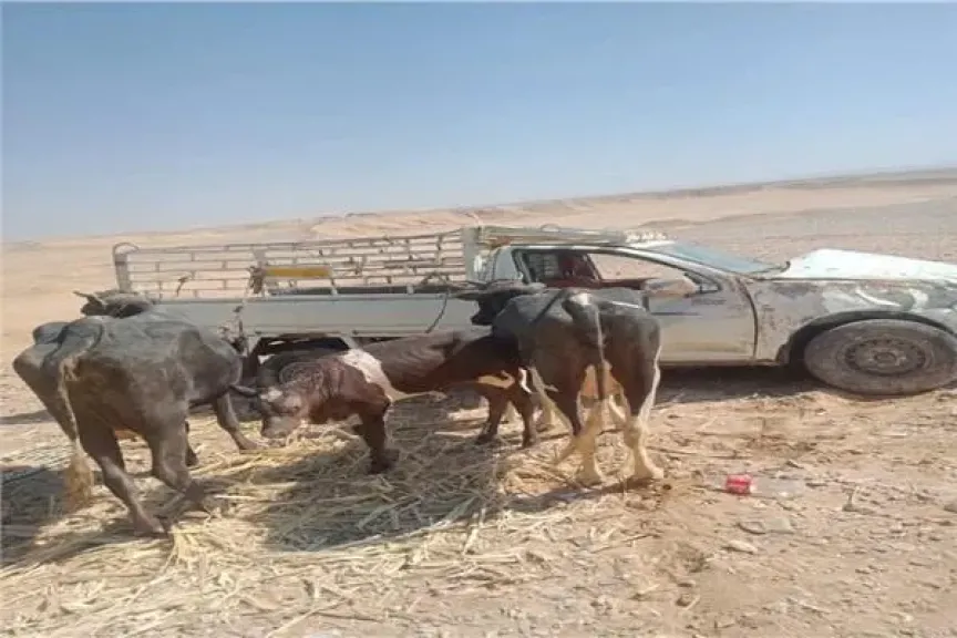 صورة من الحادث