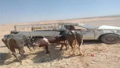 حوادث