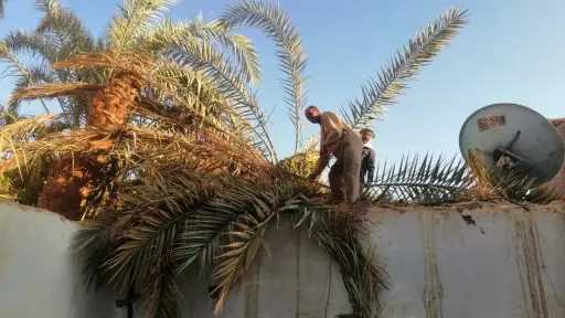 أخبار