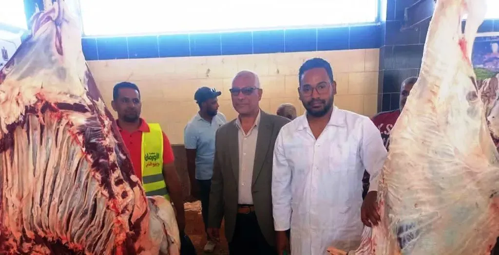 المجازر الحكومية في اسوان