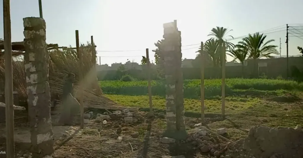 حملة إزالات