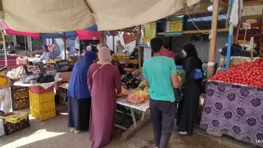 دعم مستمر ومعروض متنوع.. مدينة...