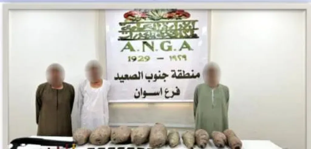 سقوط عناصر اجرامية
