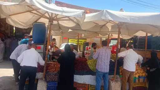 أخبار