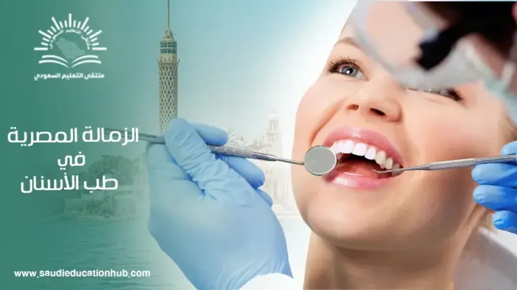 افاق التعليم العالي: اختيارات متنوعة لتخصصات متعددة