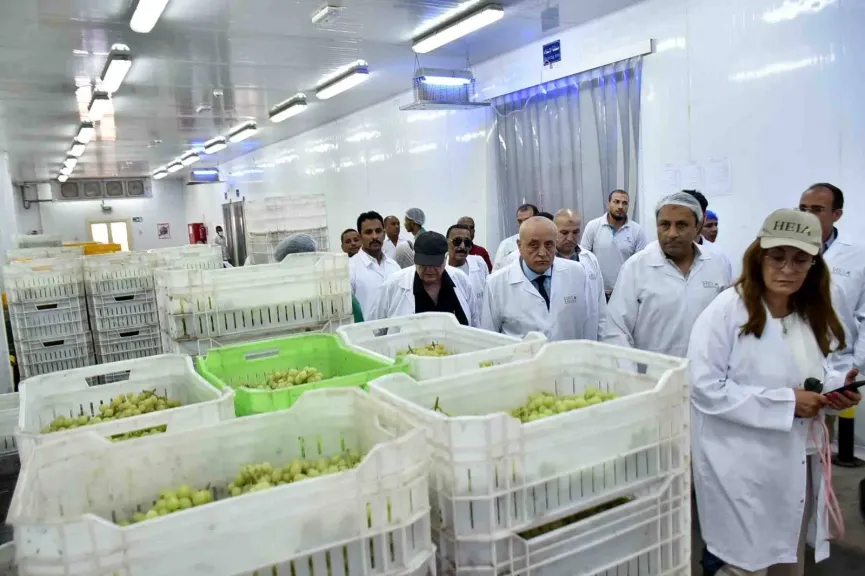 محافظ الأقصر يتفقد مركز تدريب "هيا"