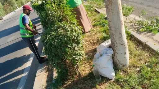 أخبار