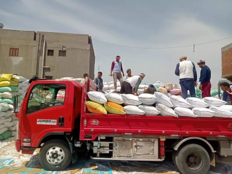 توريد القمح