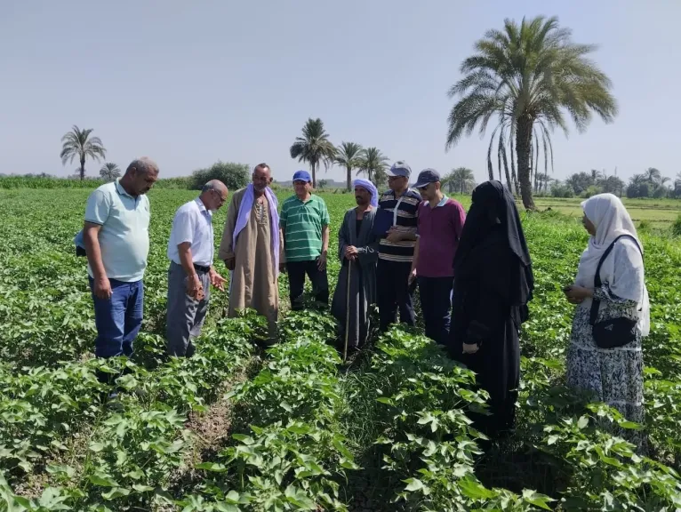 أنشاعةطة مديرية الزراعة