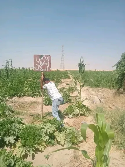 جانب من الحملة