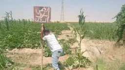 أخبار