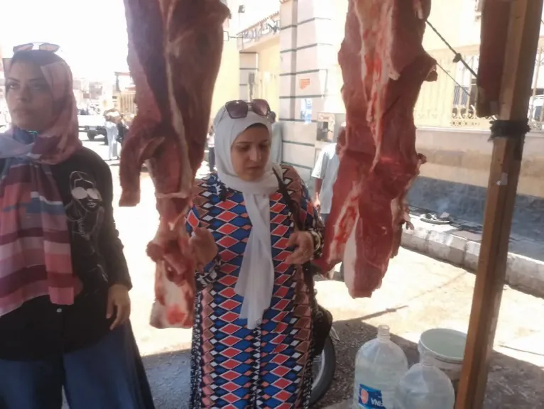 نشاط مكثف من مديرية الطب البيطري بالأقصر