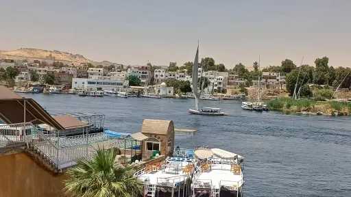 أخبار