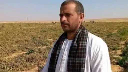 حوادث