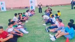 ملاعب