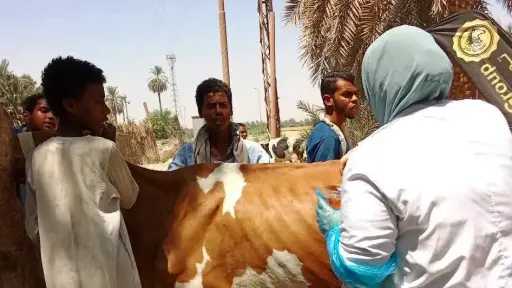 منوعات