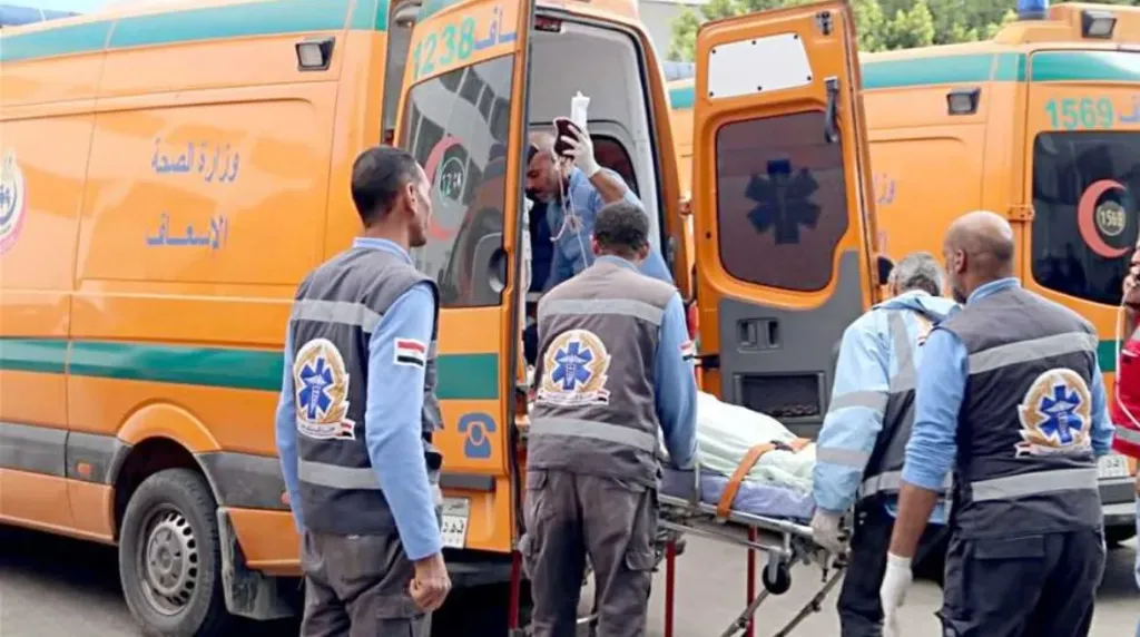 صورة اريشفية